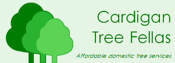 Cardigan Tree Fellas logo